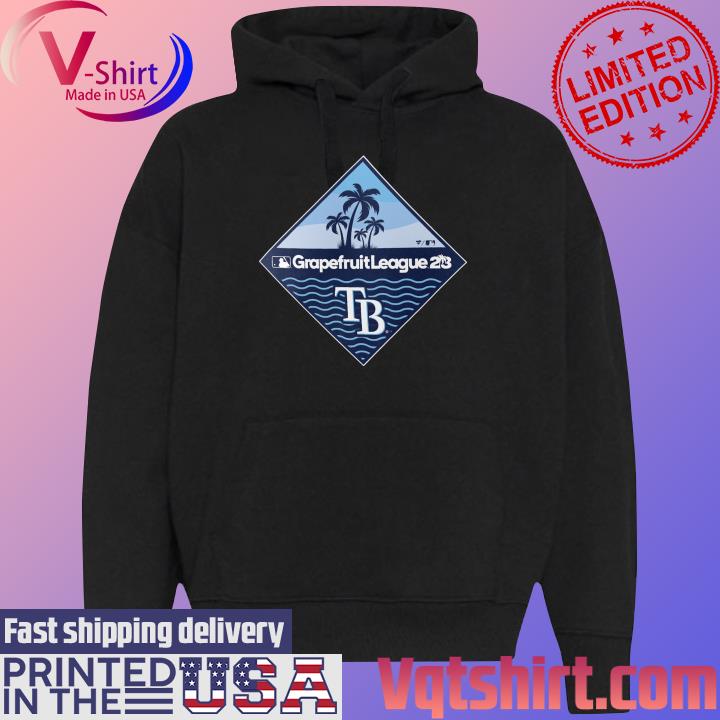 The Stable Tampa Bay Rays shirt, hoodie, sweater, long sleeve and