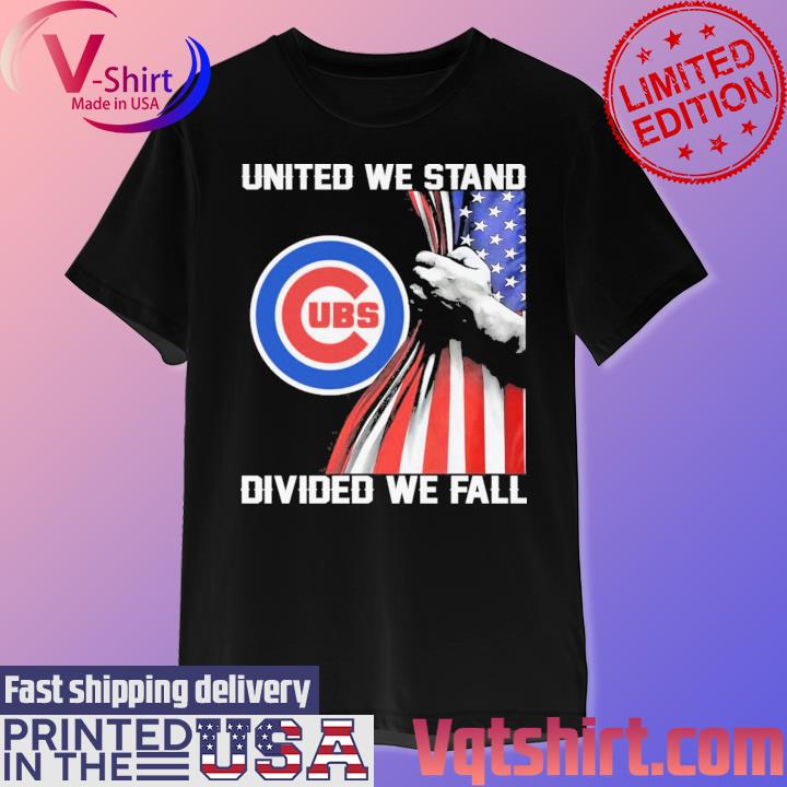 Chicago White Sox united we stand divided we fall American flag