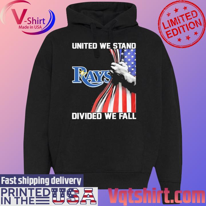Official Tampa Bay Rays logo american flag shirt, hoodie